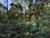 0 Pages Road, Moorleah TAS 7325-Image