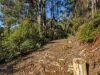 0 Pages Road, Moorleah TAS 7325-Image