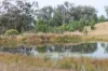 0 Texas Rd, Silver Spur, Qld 4385-Image
