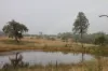 0 Texas Rd, Silver Spur, Qld 4385-Image