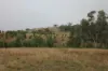 0 Texas Rd, Silver Spur, Qld 4385-Image