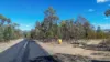 0 Texas Rd, Silver Spur, Qld 4385-Image