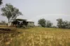 0 Texas Road, Silver Spur QLD 4385-Image