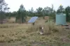 0 Texas Road, Silver Spur QLD 4385-Image