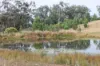0 Texas Road, Silver Spur QLD 4385-Image