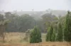 0 Texas Road, Silver Spur QLD 4385-Image