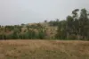 0 Texas Road, Silver Spur QLD 4385-Image