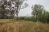0 Texas Road, Silver Spur QLD 4385-Image
