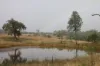 0 Texas Road, Silver Spur QLD 4385-Image