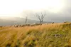 0 Texas Road, Silver Spur QLD 4385-Image
