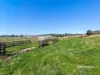 00 Dudfields Road, Mount Hicks, Tas 7325-Image