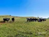 00 Dudfields Road, Mount Hicks, Tas 7325-Image