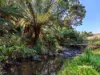00 Dudfields Road, Mount Hicks, Tas 7325-Image