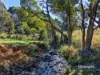 00 Dudfields Road, Mount Hicks, Tas 7325-Image