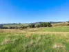 00 Dudfields Road, Mount Hicks, Tas 7325-Image
