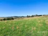 00 Dudfields Road, Mount Hicks, Tas 7325-Image