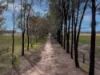 00 Frost Road, Killawarra, Vic 3678-Image