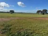 1 & 2, Boort-Wedderburn Road, Borung, Vic 3518-Image