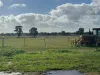 1 & 2, Boort-Wedderburn Road, Borung, Vic 3518-Image
