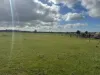 1 & 2, Boort-Wedderburn Road, Borung, Vic 3518-Image