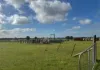 1 & 2, Boort-Wedderburn Road, Borung, Vic 3518-Image
