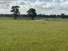 1 & 2, Boort-Wedderburn Road, Borung, Vic 3518-Image