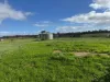 1 & 2, Boort-Wedderburn Road, Borung, Vic 3518-Image