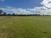 1 & 2, Boort-Wedderburn Road, Borung, Vic 3518-Image