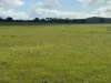 1 & 2, Boort-Wedderburn Road, Borung, Vic 3518-Image