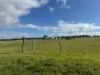 1 & 2, Boort-Wedderburn Road, Borung, Vic 3518-Image