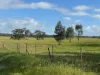 1 & 2, Boort-Wedderburn Road, Borung, Vic 3518-Image