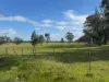 1 & 2, Boort-Wedderburn Road, Borung, Vic 3518-Image