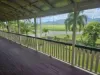 1 - 3 Stone River Road, Trebonne, Qld 4850-Image