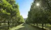 1, 303 Lawson Road, Jones Hill, Qld 4570-Image