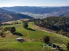 1-65 Forsters Road, Batlow, NSW 2730