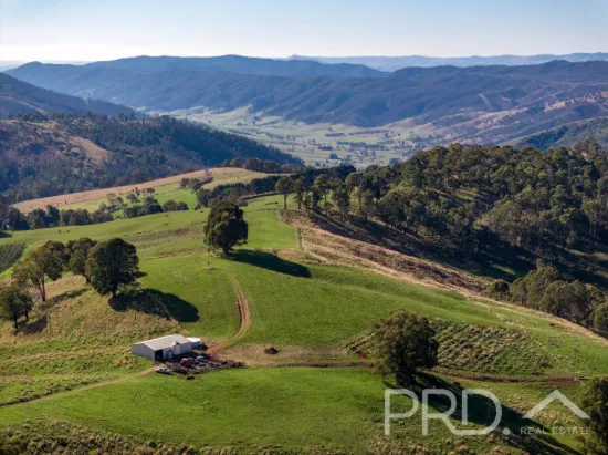 1-65 Forsters Road, Batlow, NSW 2730