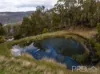1-65 Forsters Road, Batlow, NSW 2730-Image