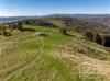 1-65 Forsters Road, Batlow, NSW 2730-Image