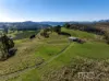 1-65 Forsters Road, Batlow, NSW 2730-Image