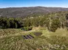 1-65 Forsters Road, Batlow, NSW 2730-Image