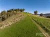 1-65 Forsters Road, Batlow, NSW 2730-Image