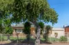 1 Berri Road, Hope Valley, SA 5090-Image
