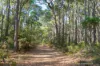 1 Bussell Highway, Margaret River, WA 6285-Image