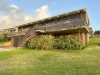 1 Hayward Street, McCracken, SA 5211-Image
