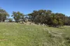 1, Old Spencers Road, Mokine, WA 6401-Image