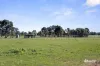 1, Scotts & Titwobble Lane, Wedderburn, Vic 3518-Image