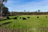 1, Wrights Lane, East Kempsey, NSW 2440-Image