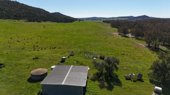 1 Yarrangong Road, Forbes, NSW 2871