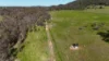 1 Yarrangong Road, Forbes, NSW 2871-Image