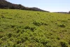 1 Yarrangong Road, Forbes, NSW 2871-Image